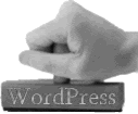 WordPress website training Dublin